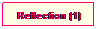 Text Box: Reflection (1)
