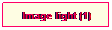 Text Box: Image light (1)
